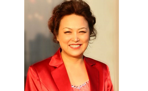 探寻中国汽车高质量发展和全球化路径 全国人大代表王凤英提五项议案建议