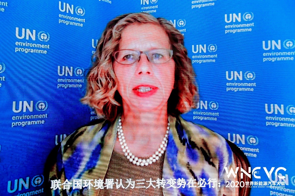 英格·安德森Inger ANDERSEN:全球零碳经济,从交通电气化做起